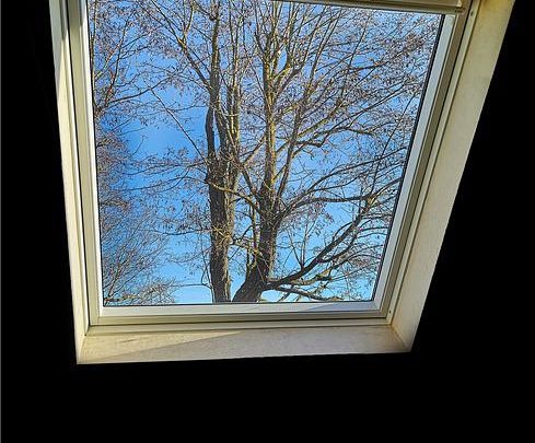 velux