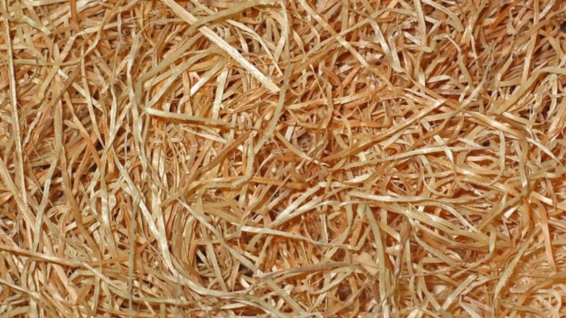 Laine de bois : un isolant performant et écologique pour votre maison