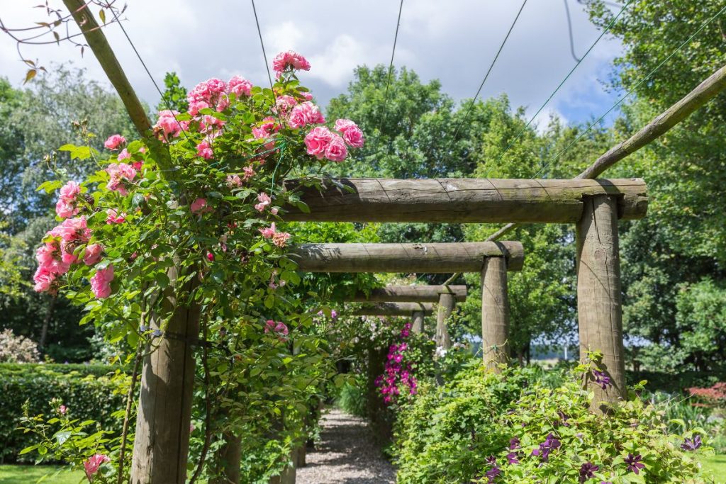 1-Créer une structure de support solide pour les plantes grimpantes dans un petit jardin