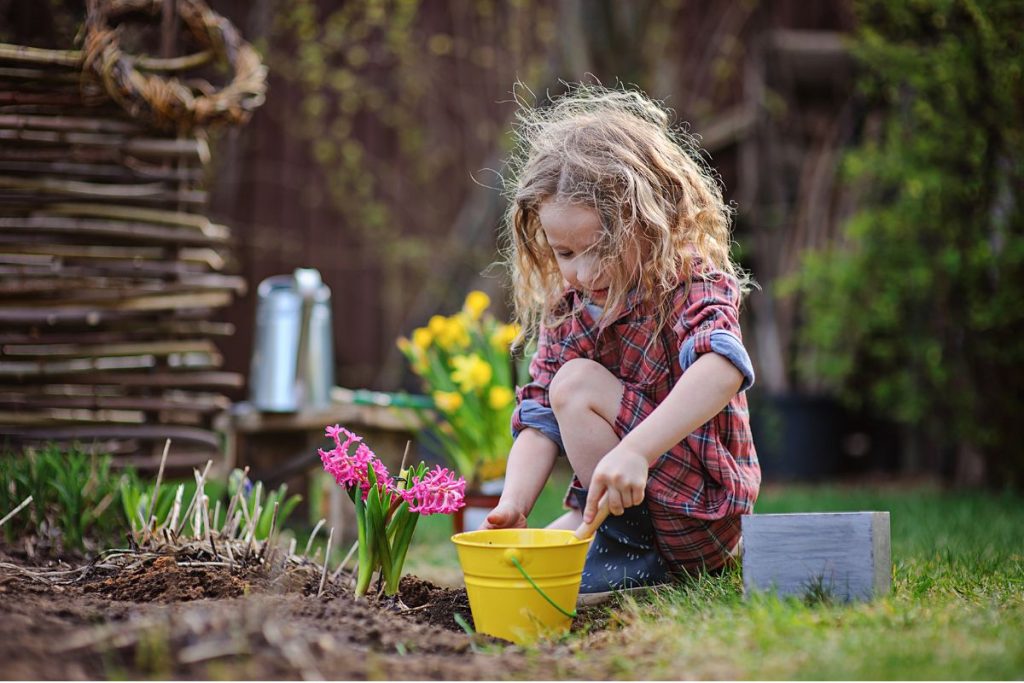 1-Les avantages des plantes indigènes et leur intégration dans un petit jardin