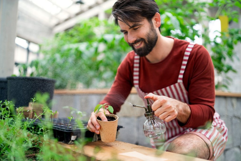 1-Les plantes comestibles à cultiver dans votre jardin pour une cuisine gourmande