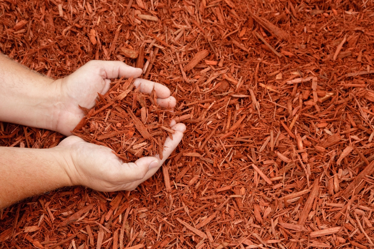 mulching